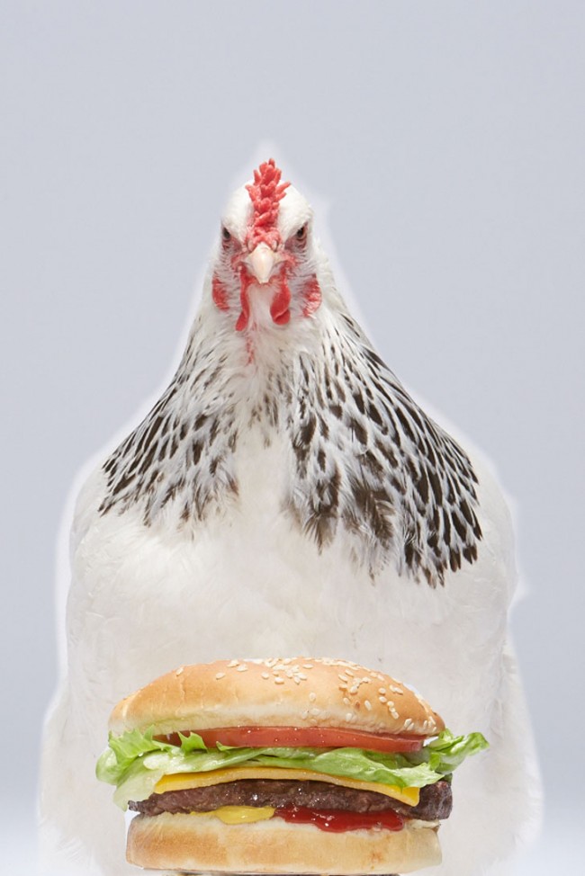 Adweek_Chicken_Burger_001_comp_v2