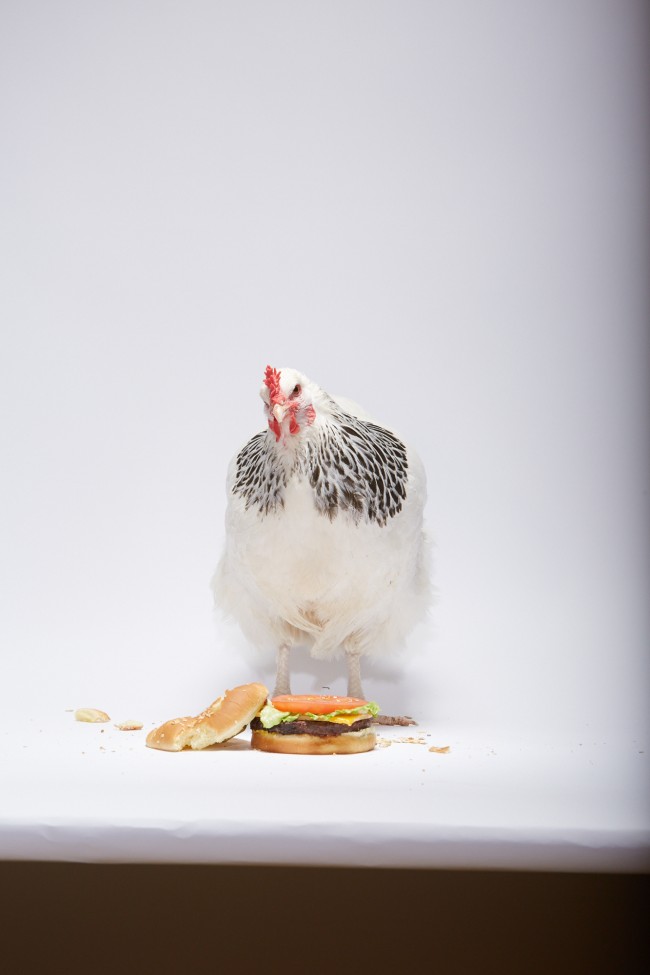 Adweek_Chicken_Burger_439